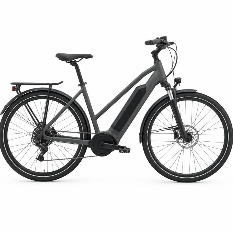 E-Bike (representative photo)